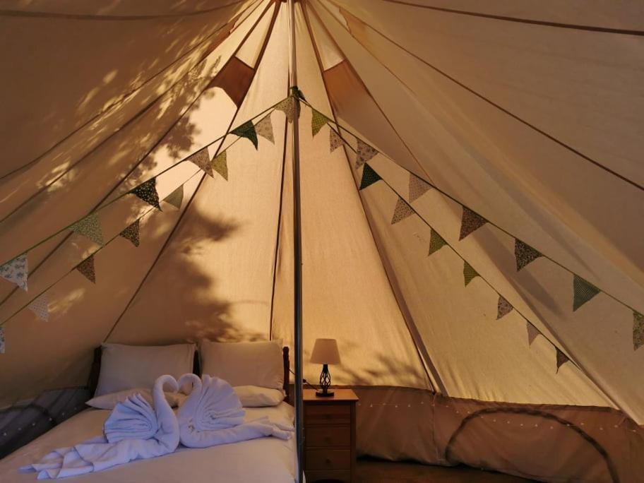 Wall Eden Farm - Luxury Log Cabins And Glamping Highbridge Exteriör bild