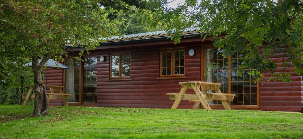 Wall Eden Farm - Luxury Log Cabins And Glamping Highbridge Exteriör bild